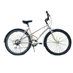Bicicleta Urbana Atalanta