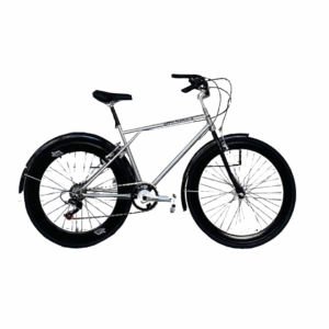 Bicicleta Urbana Hermes
